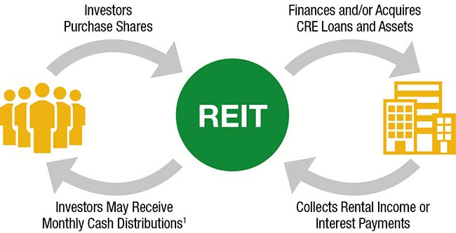 real estate investing